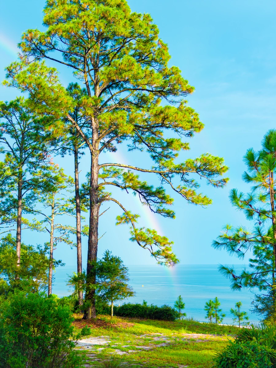 Rainbow at Saint Teresa